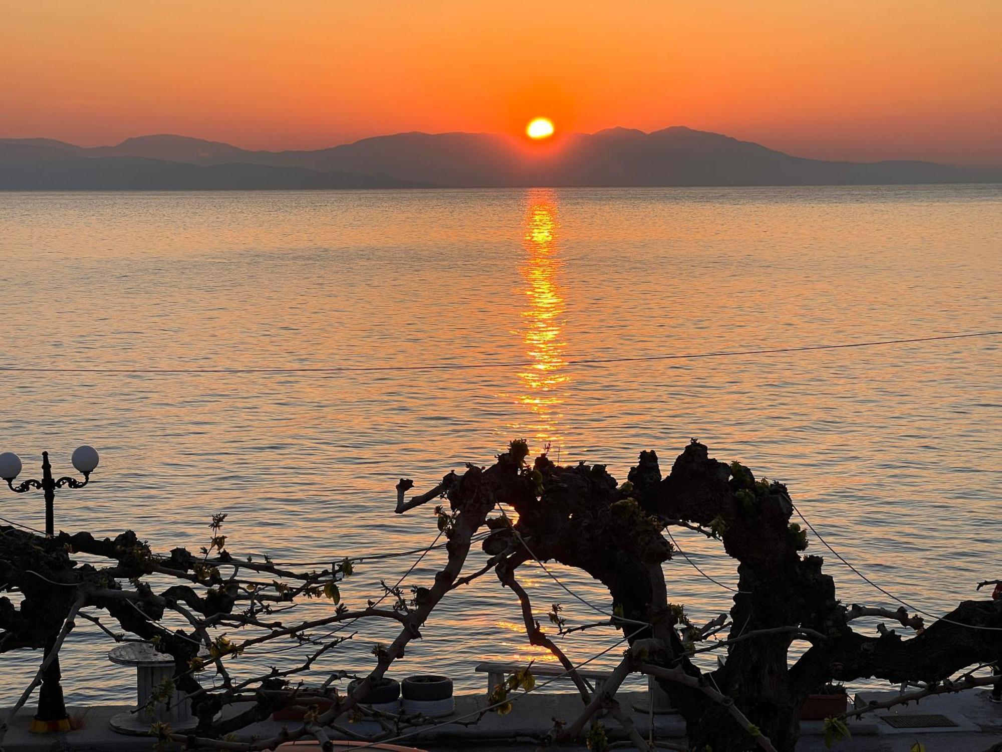 Panorama Hotel - Restaurant Diakopto Dış mekan fotoğraf